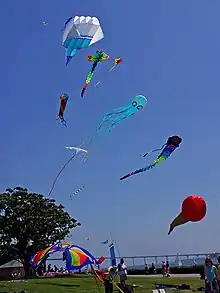 A variety of kits against a blue sky