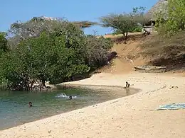 The west side of Kiwayuu Island