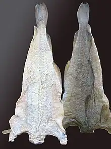 Salted and dried cod, produced in Norway