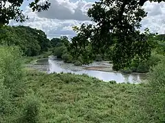 View of part of Hammer Pond at Knepp Wildland