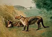 Restoration by Charles R. Knight