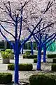 The Blue Trees, 2011 Vancouver Biennale, Canada