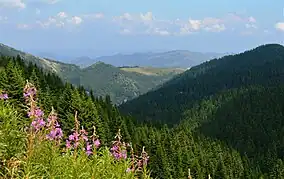 Kopaonik National Park