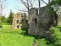 Ruins of Kouty Castle in Kouty