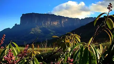 Kukenán-tepui view from base