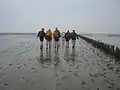 Wadlopen