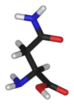 3D structure of Asparagine