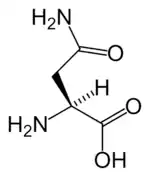 L-Asparagine(Asn / N)