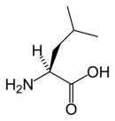 L-Leucine(Leu / L)