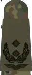 Oberstleutnant(flecktarn)