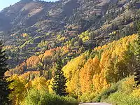 Image 44Little Cottonwood Canyon (from Utah)