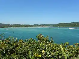 A deep blue lake surrounded by bushes