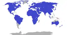 Worldwide except for Antarctica, southern South America, northern Oceania, and inland Greenland