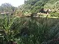 View of the lagoon fed by the spring, Wall Springs Park.