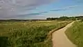 The naturepath around Årslev Engsø lake