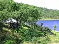 Shelter shed overlooking the lake