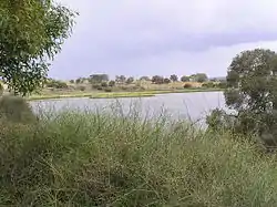 Lake Connewarre seen from Tait Point