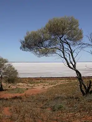 Lake Hart is one of the smaller lakes in the basin