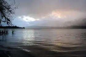 Lake Quinault and rainforest in the mist