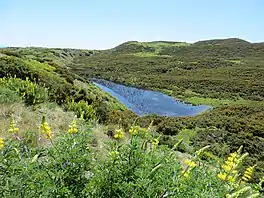 Lake Waitamoumou