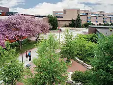 Three university buildings surrounding a square with trees and students walking about