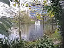 View of Lakeside Nature Reserve from a footpath off Strathmore Gardens