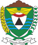 Muara Enim Regency