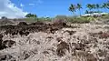 Kapihaʻā village heiau below Mānele Bay golf clubhouse