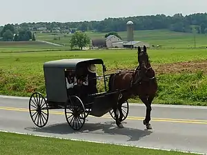 An Amish family in a traditional Amish buggy in the county.