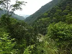 Kameng River in Pakke Tiger Reserve