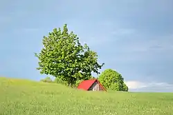 Landscape near Szypliszki