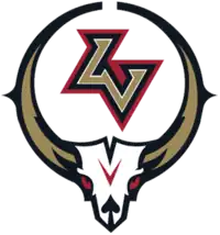 Team logo