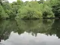 Leg of Mutton Pond in Moat Mount Open Space