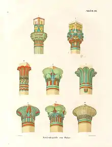 Illustrations of various types of capitals, drawn by the Egyptologist Karl Richard Lepsius