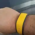 Disney Magicband and MyMagic+ (c. 2015)