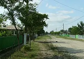 The main street in Letea village