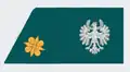 Leutnant (Tirol)(2nd Lieutenant - Tyrol)