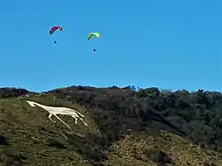 Paragliders over the Litlington White Horse