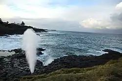 The Little Blowhole in action