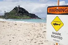 Image 6A sign at Pyramid Rock Beach in Hawaii warning about a shark sighting, 2015 (from Shark tourism)