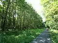 Macadam bike path