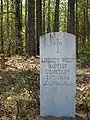 The "Liberty West Baptist Cemetery" is one of the last remaining vestiges of Louina, Alabama.