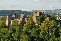 The western terraces of Ludlow Castle, where Ley found large specimens of var. glandulosa in 1910