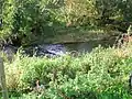 The Old ford across the Lugton Water near the site of the Waulkmill.