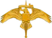 MARSOC Insignia