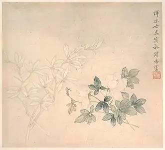 Flower Study (花卉圖), Metropolitan Museum of Art