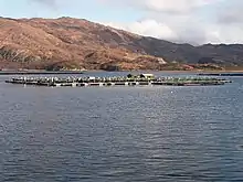 Marine Harvest operation on Loch Ailort, Scotland