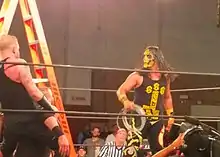 The three-way Stairway to Hell match between Bestia 666, Jimmy Havoc and Mance Warner