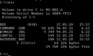 In 1981, Microsoft introduced the MS-DOS operating system, which would become the world's most widely used operating system in the 1980s and first half of the 1990s.