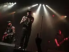 Three members of Good Charlotte onstage. One playing guitar, the second holding a microphone and the third playing bass.